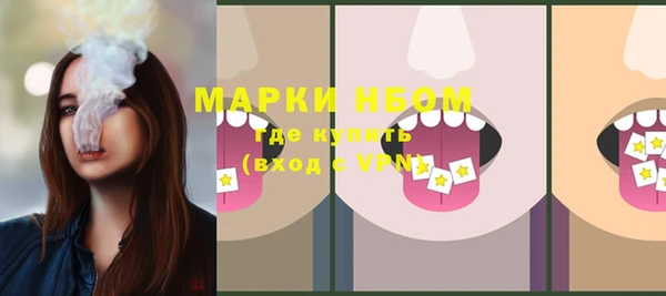 хмурый Михайловск