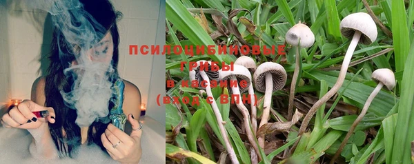 меф Майский
