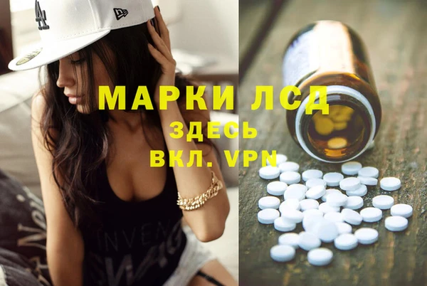 ПСИЛОЦИБИНОВЫЕ ГРИБЫ Михайлов