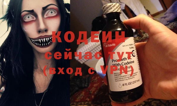 хмурый Михайловск