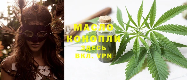 ПСИЛОЦИБИНОВЫЕ ГРИБЫ Михайлов