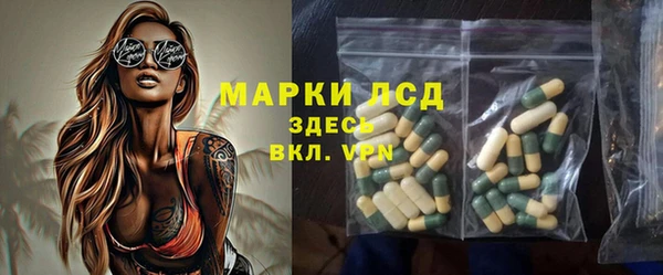 ПСИЛОЦИБИНОВЫЕ ГРИБЫ Михайлов