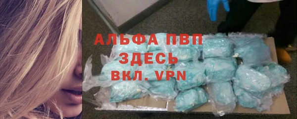 ПСИЛОЦИБИНОВЫЕ ГРИБЫ Михайлов