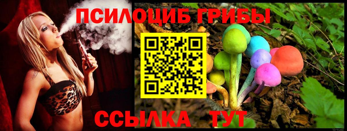 Псилоцибиновые грибы MAGIC MUSHROOMS Владивосток